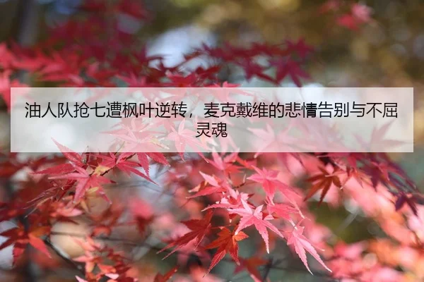 you-ren-dui-qiang-qi-zao-feng-ye-ni-zhuan-mai-ke-dai-wei-de-bei-qing-gao-bie-yu-bu-qu-ling-hun-2-367.jpg